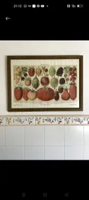 Charm in the Moncayo - Image 4