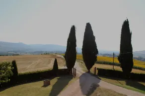 Farmhouse with garden and pool for exclusive use of wifi - Image 4