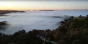 Bushland hideout with amazing views! - Image 5