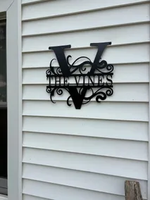 Jono Vines - Image 4