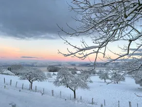 Close to hiking trails - Lake Geneva - Image 2