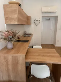 “Unique” Apartment in the Heart of Ljubljana - Image 3