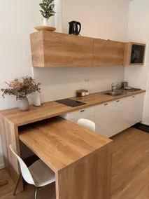“Unique” Apartment in the Heart of Ljubljana - Image 2