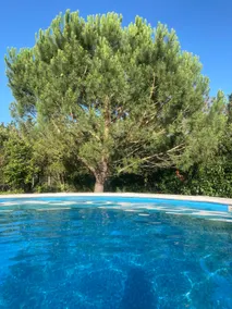 ”Au petit Paradis” Studio - Image 4
