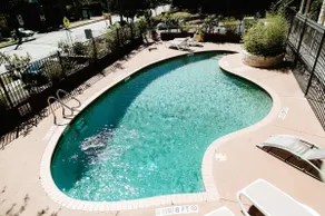 Work from Home in 6th St Oaxacan Oasis with Pool - Image 3