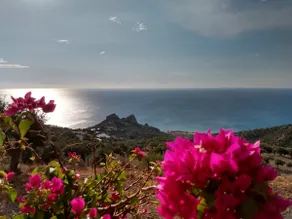 Close to paradise - Image 5