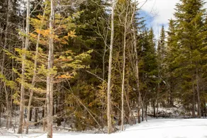 Chalet le Sentier - Image 4