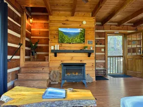 Cabin Retreat near Hot Springs & Marshall-Firepit! - Image 3