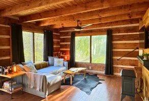 Cabin Retreat near Hot Springs & Marshall-Firepit! - Image 5