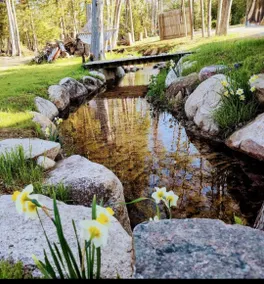 Waterfront Cabin/Tiki/kayaks/Games/Beach/Wifi/Pets - Image 5