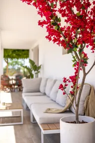 Moon Villa (Climatized Ppool-BBQ-Wifi-Parking) - Image 4
