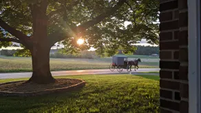 Mine Ridge House;Buggy watching,Sunset, farm views - Image 4