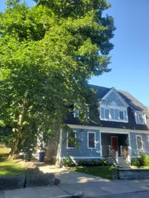 Park-Side Home in Jamaica Plain - Image 3