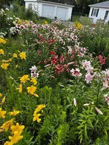 Flower Field Cottage Near Geneva Lake - Image 3
