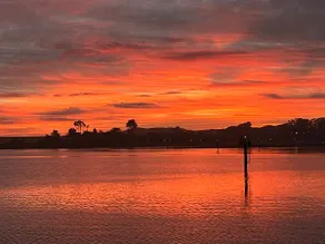 Bodega Bayfront Beach ~ Pet Friendly - Image 2