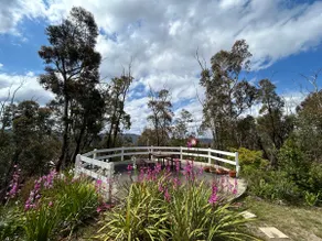 Mountain Tranquility - Image 2