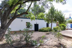 Los Laureles - Casa Luna - Image 5