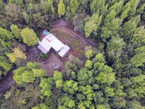 Cabin in the Chonchi Forest - Chiloé - Image 5