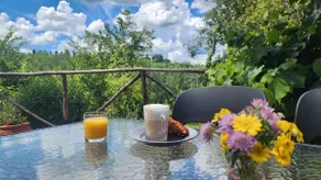Beautiful 2 bedroom apartment with garden - Image 2
