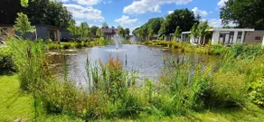 TOP Luxury chalet - child friendly - forest and heath - Image 3