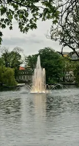 Close to the city center, quiet and cozy - Image 4