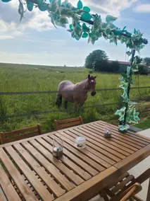 Horse cottage near Disney and Paris - Image 3