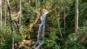 Enjoy 2 Private Waterfalls & 6 Acres Near Brevard - Image 4