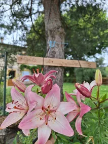 Country House - Image 2