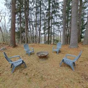 Rustic Cabin Among Pines, Near Moose River - Image 3
