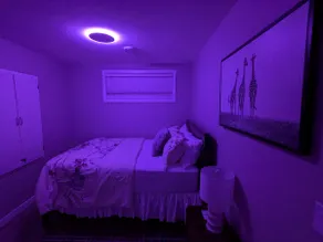 The Royal Haven Suite - Image 2
