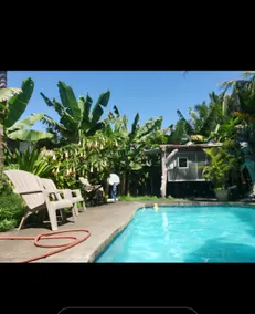 Dolphin House. Pool, Ocean Views/FREE AC - Image 3