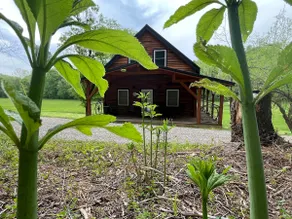 Remington's Retreat - Image 5