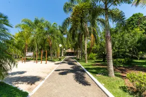 Space and nature near the beach - Image 4