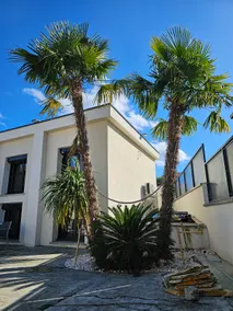 Contemporary home - Image 4