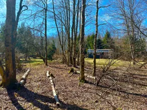 Catskills tiny house cabin - Image 3