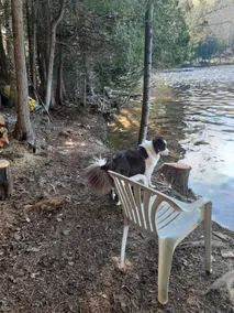 Lakeside family getaway, 1 hr from Ottawa-Gatineau - Image 5