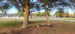 Live Oaks Cottage - Image 5