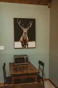 The Falls Cottage - 3 min to Starved Rock - Image 4