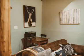 The Falls Cottage - 3 min to Starved Rock - Image 5
