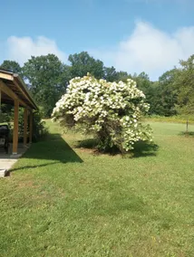Nature’s Retreat - Image 3