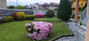 Apartment in Borgomanero - Image 4