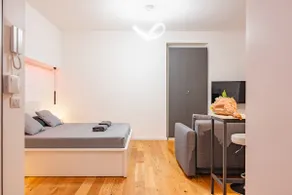 Exclusive Led House Garibaldi FS - Image 3