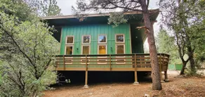 Bearly Connected, a brand new cabin in the woods - Image 2