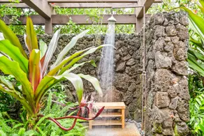 Garden Paradise w/5 min. walk to beach - Image 5