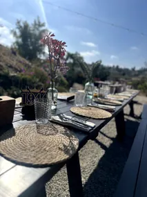 Luxury Retreat, Views of Monserate Winery - Image 5