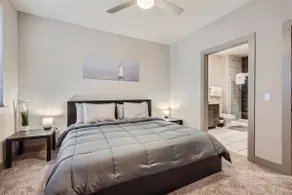 Cozy 2-bedroom apartment in lovely Austin - Image 5