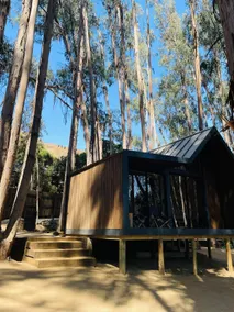 Nordic cabin immersed in forest - Image 2