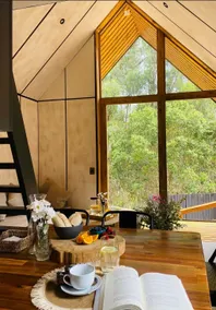 Nordic cabin immersed in forest - Image 3