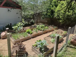 Casa da Vila - Image 4