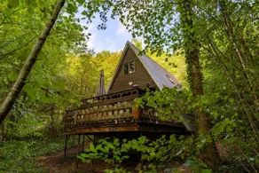 Le Petit Renard - Image 2
